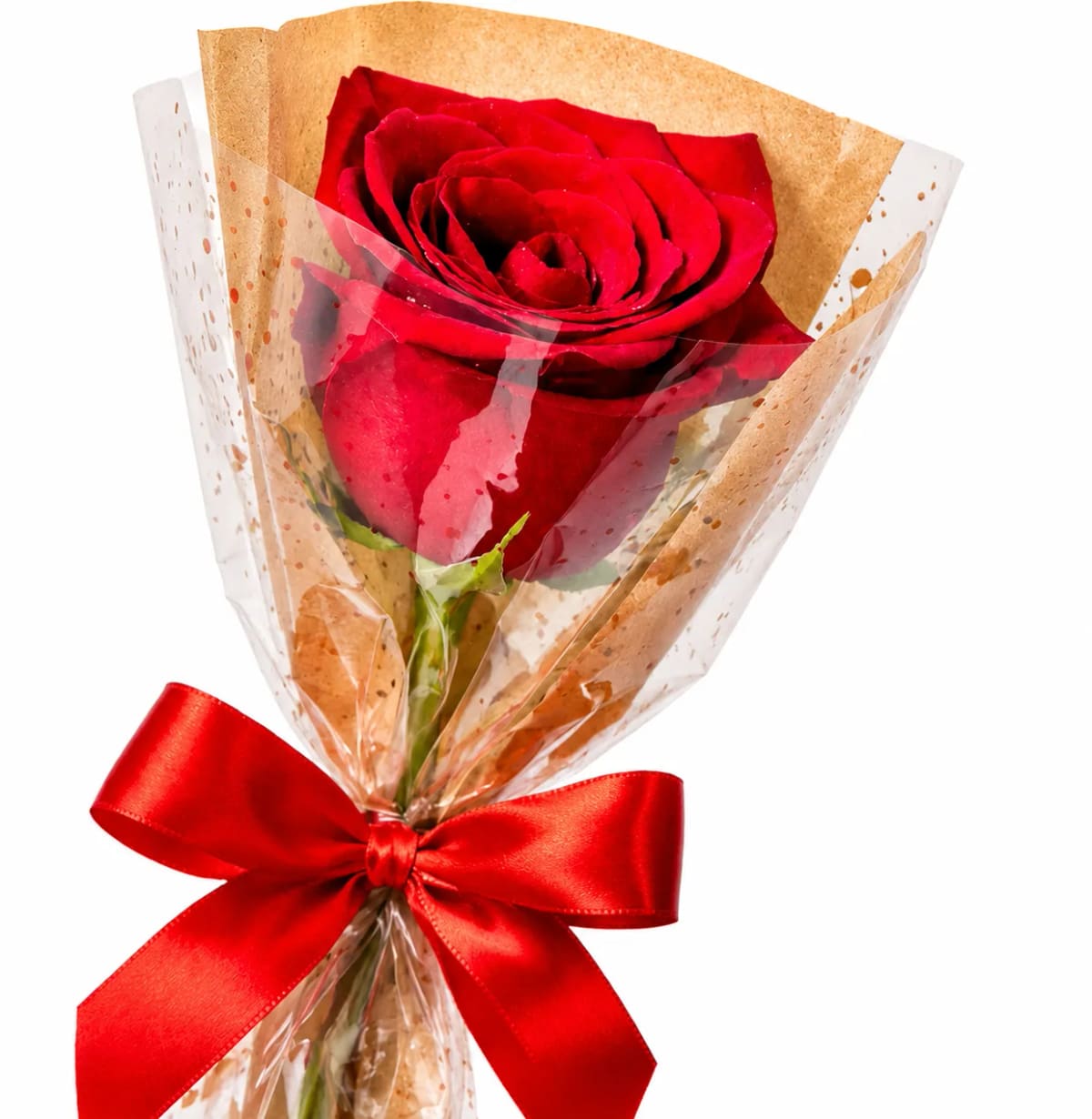 Rosa do Amor