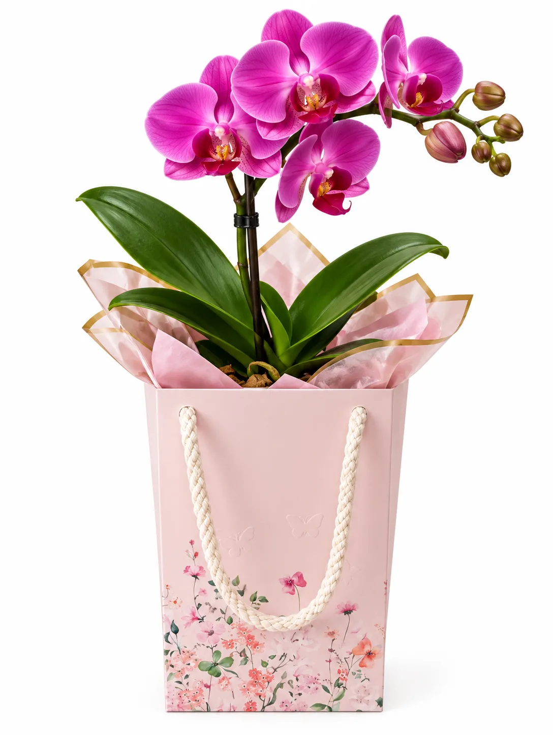 Orquídea na Sacola Floral